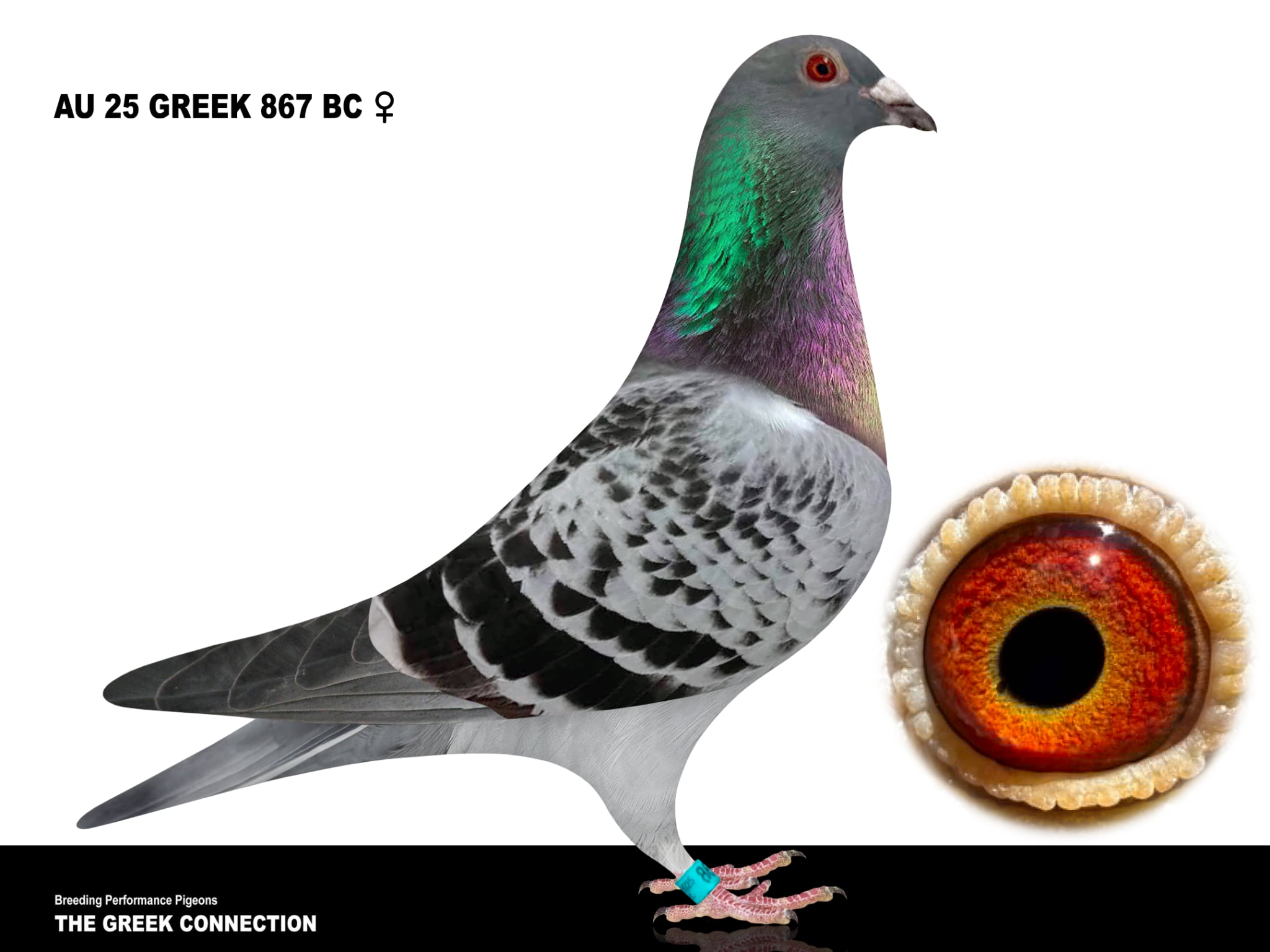 AU 25 GREEK 867 BC HEN 