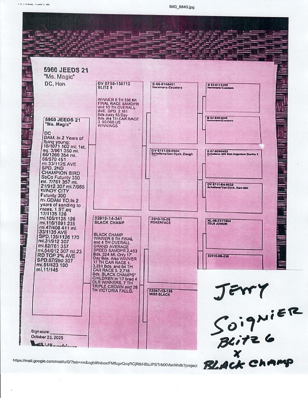 Preview Image 14