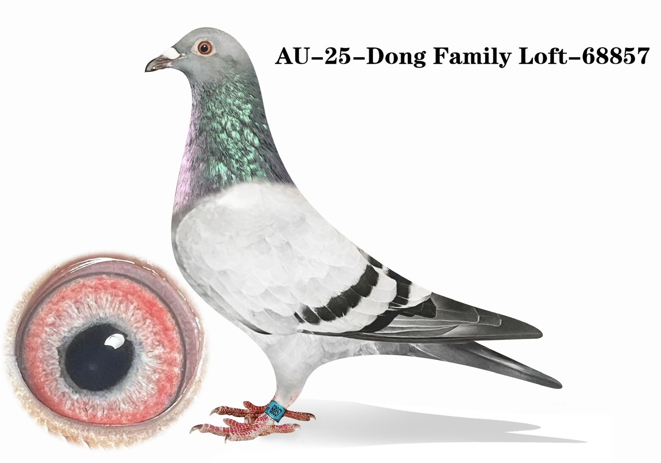 AU-Dong Family Loft-68857