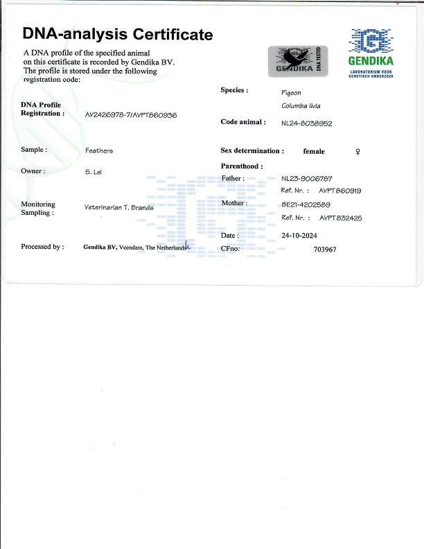 Preview Image 3