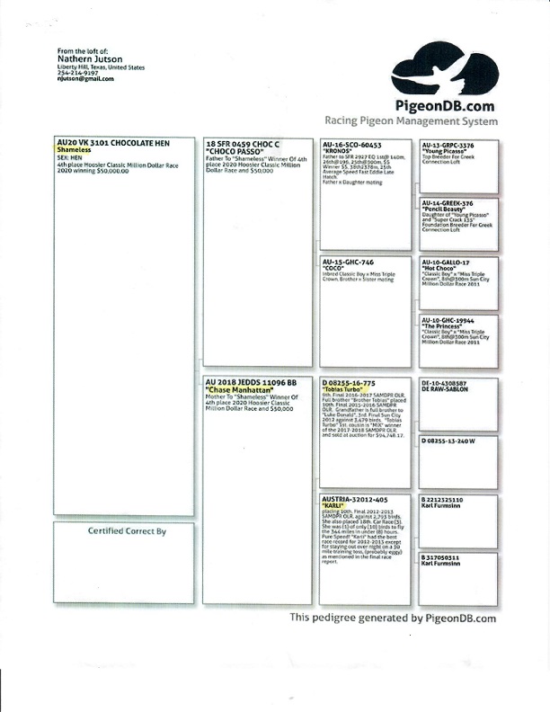 Preview Image 5