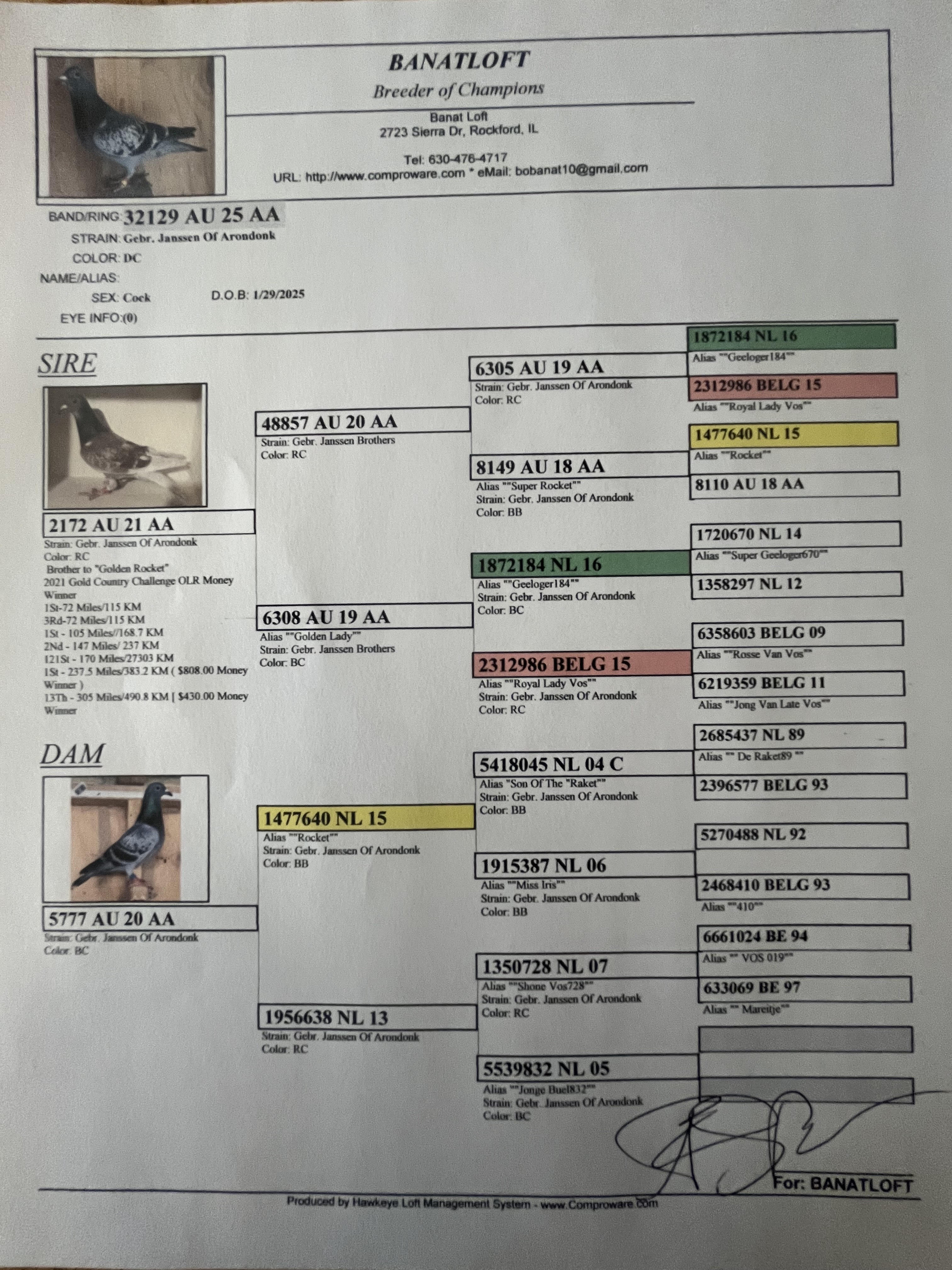 AU-25-AA32129 BC Cock