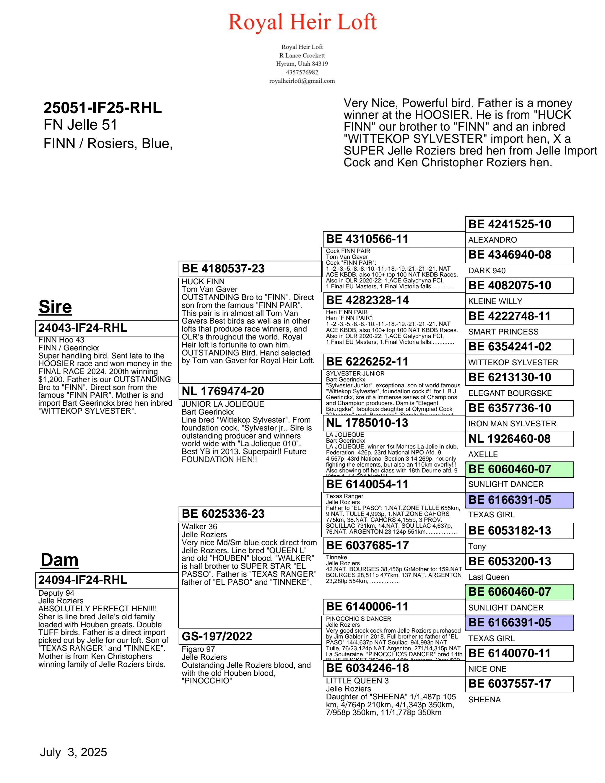 25051-IF25-RHL Blue Cock