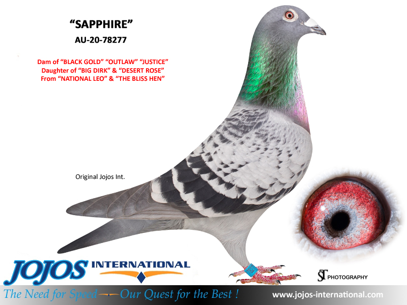 LOT # 53 AU-24-103383