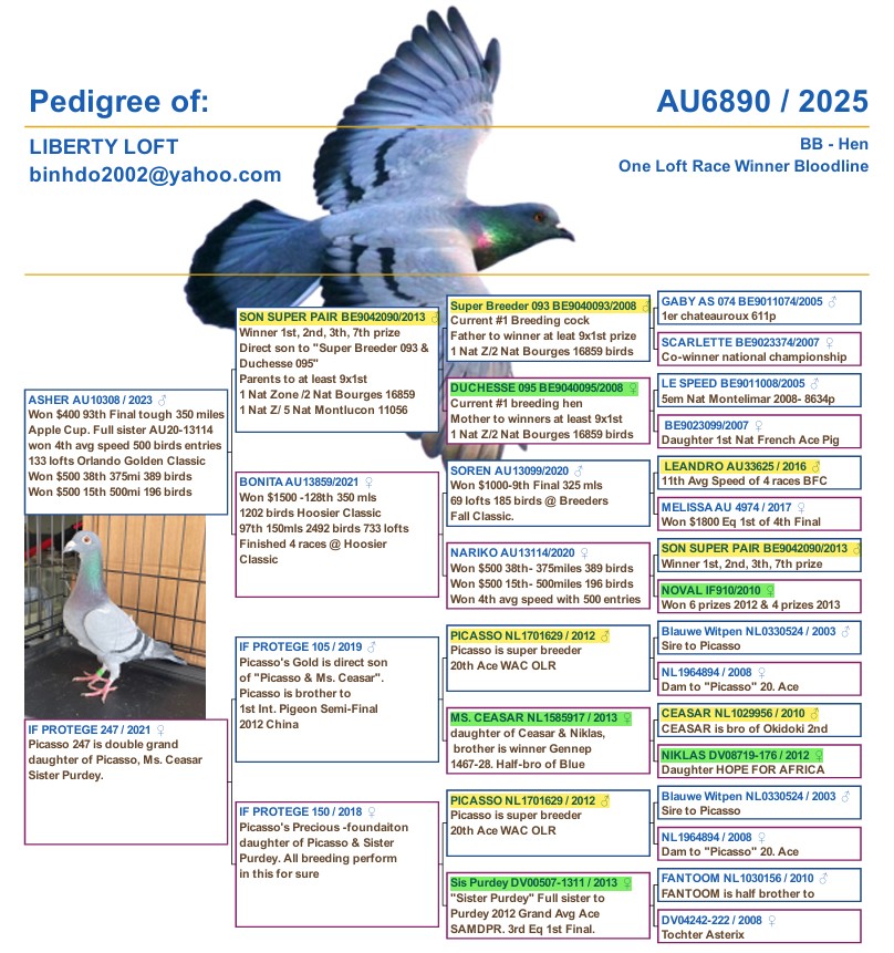 AU25-6890 - LATE HATCH