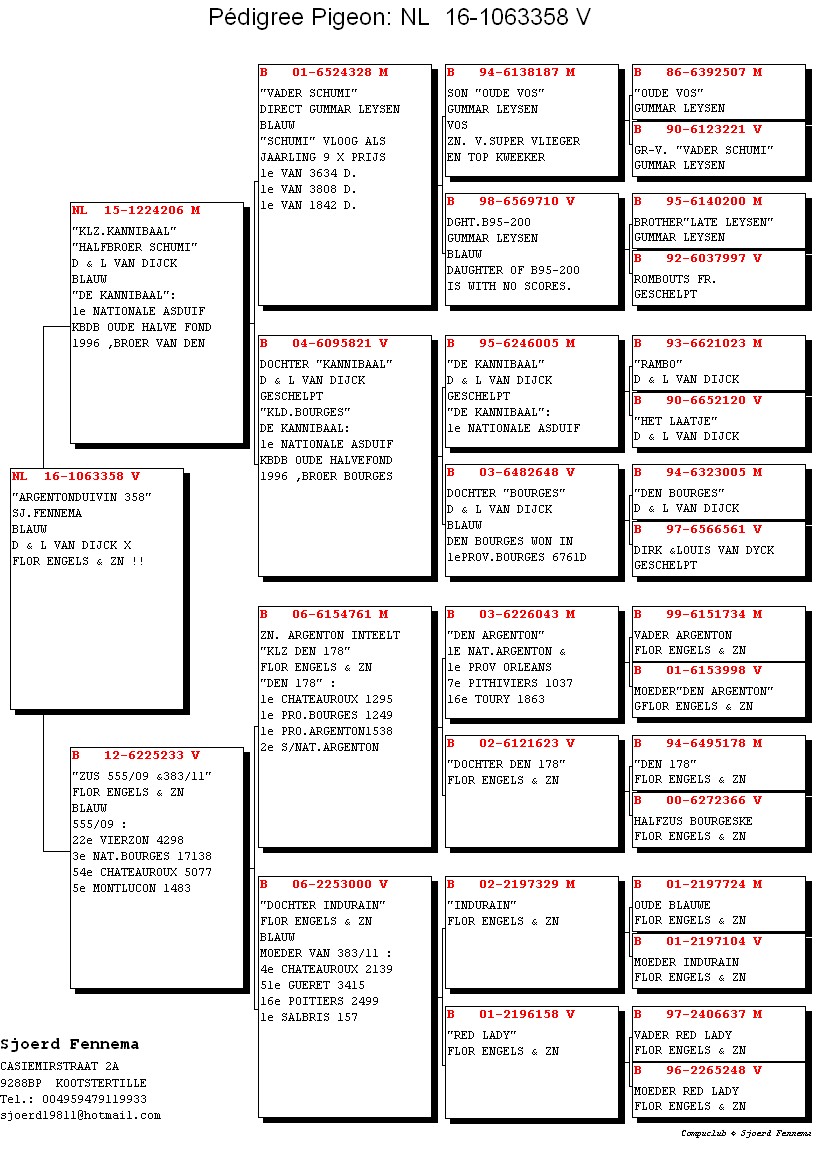 Preview Image 3