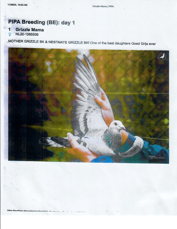Preview Image 21
