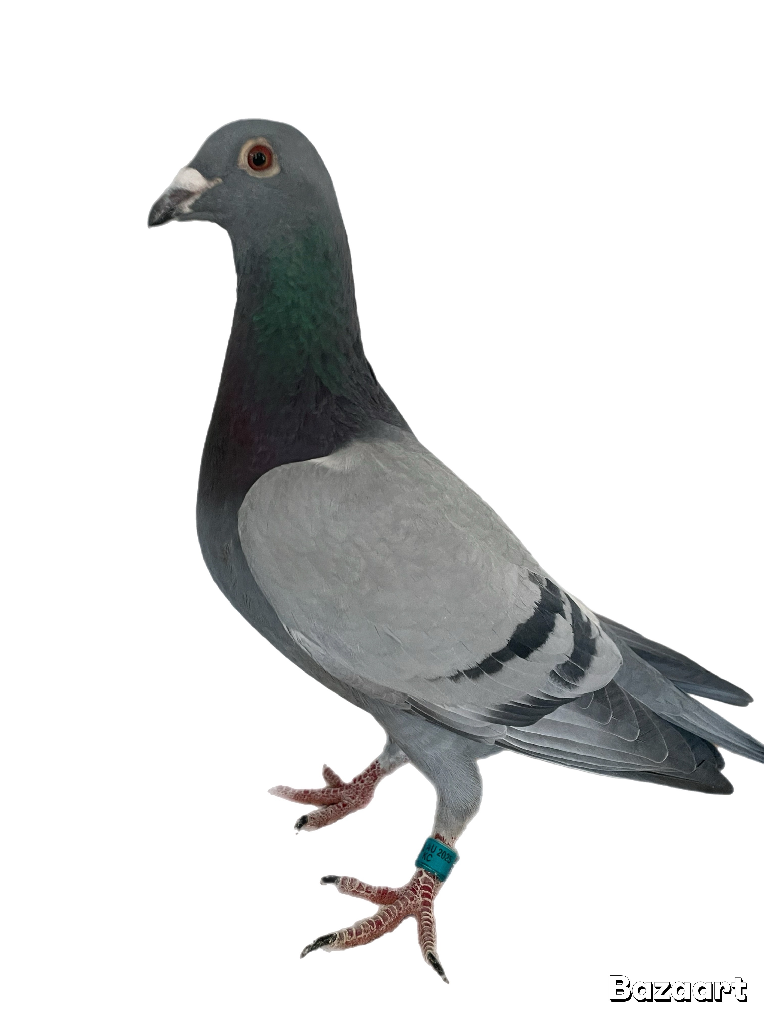 440- AU--KC -2025 = GFL x MCF