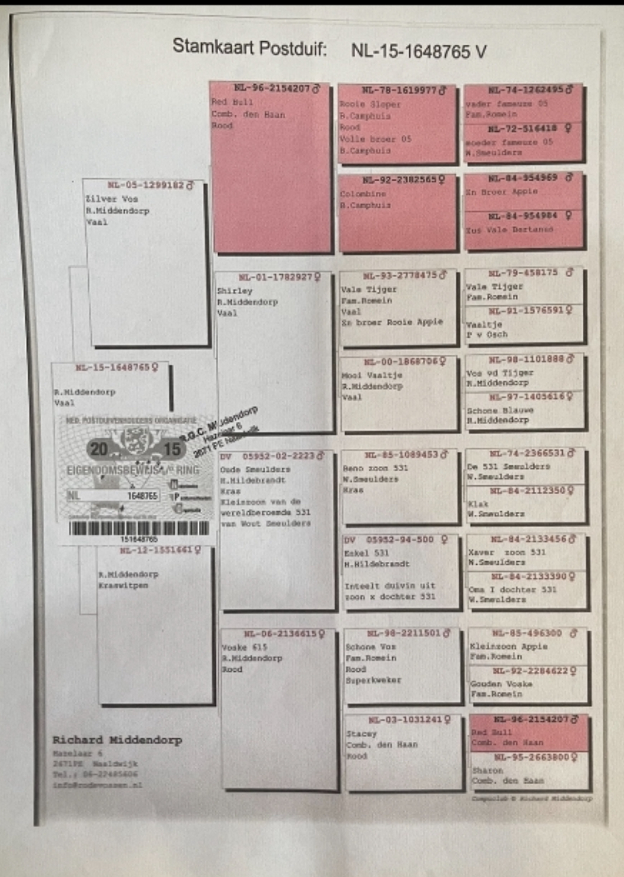 Preview Image 3