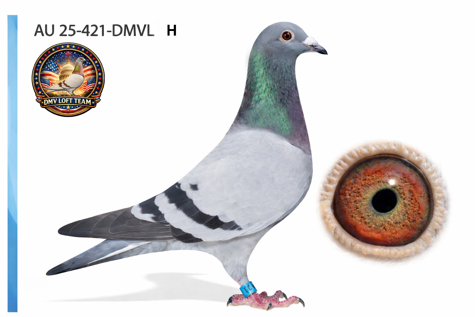 Proven Quality Blood !!!