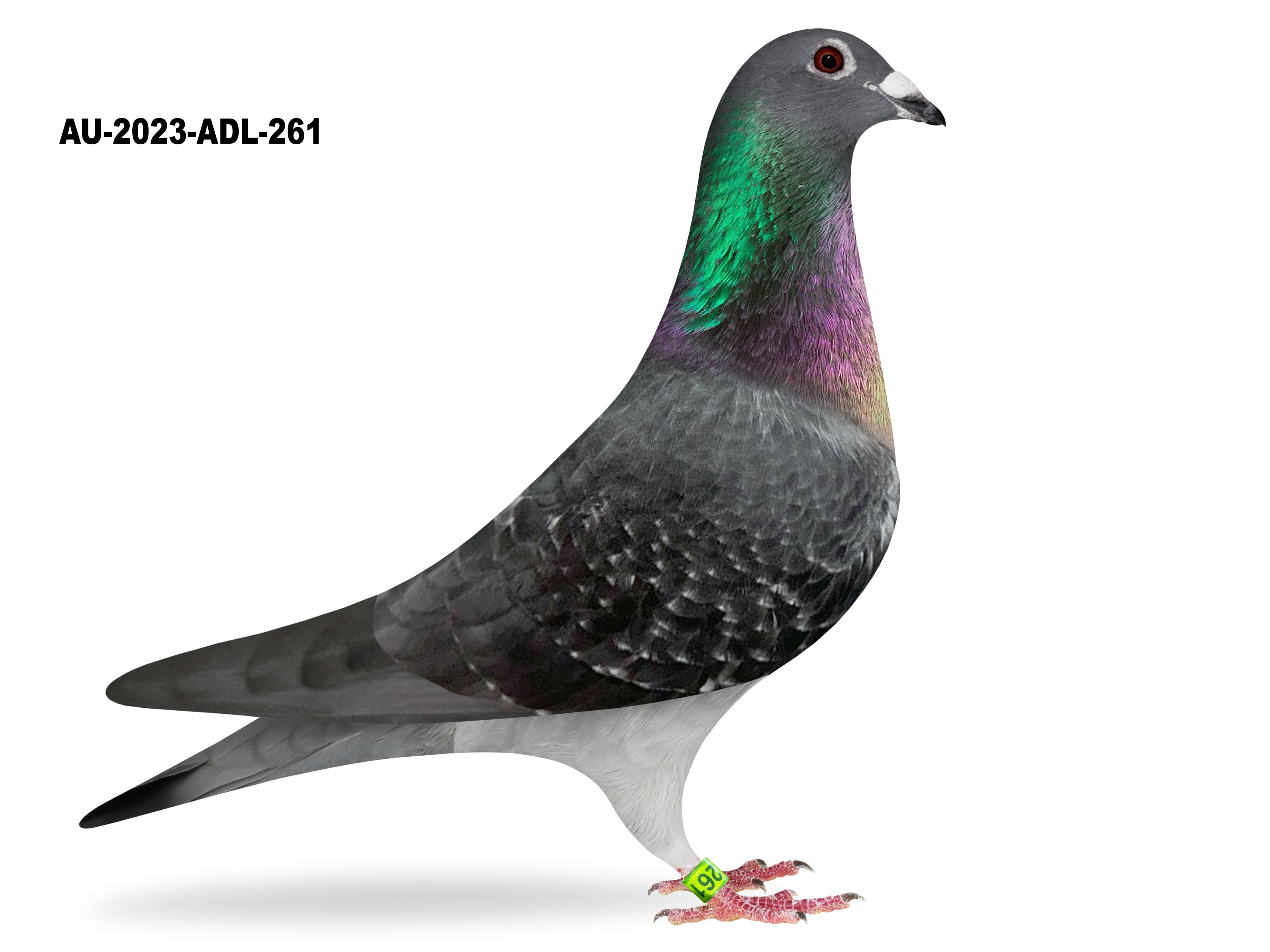 Donated by Butch Shoop