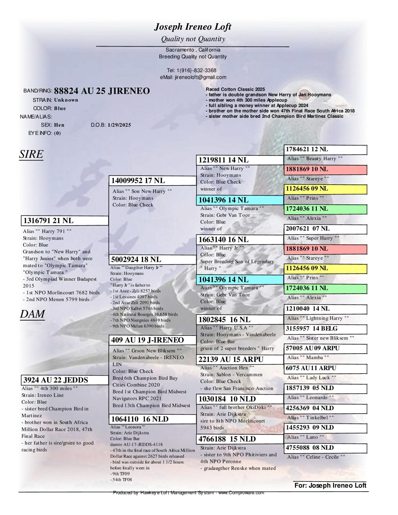 J-Ireneo’s Loft Donation 