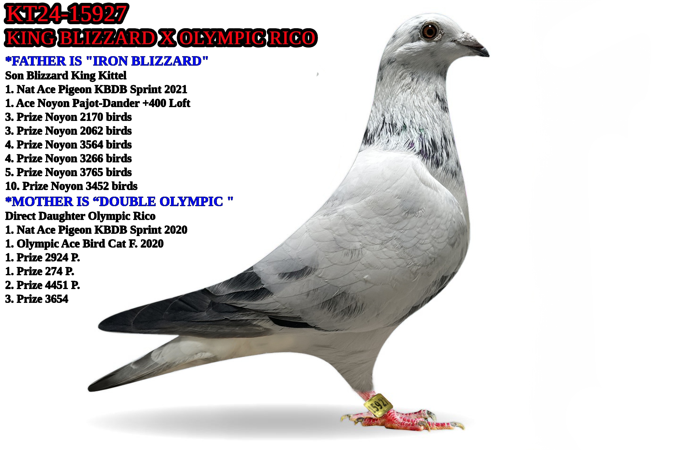 KT24-15027 GRIZZLE HEN