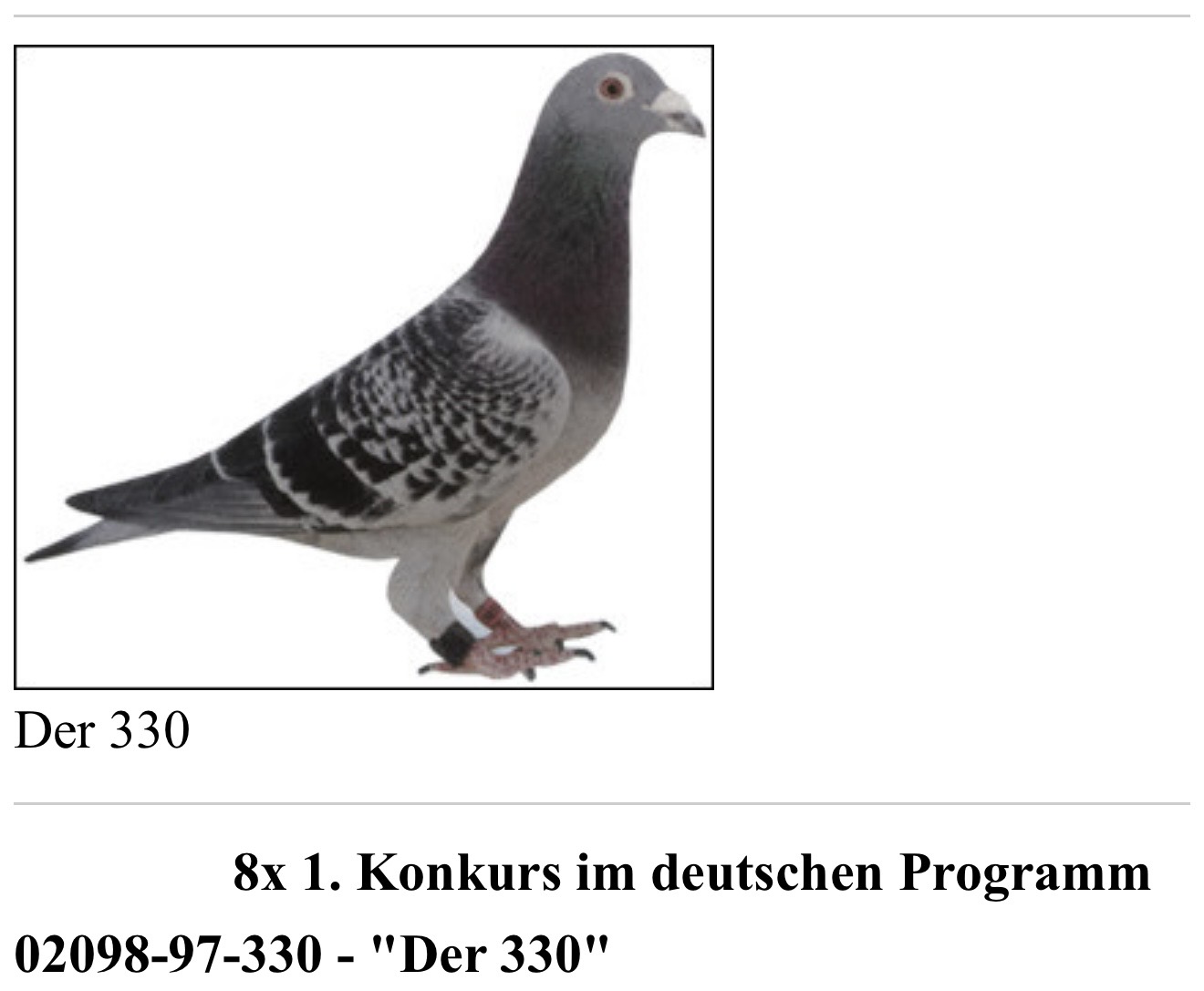 Preview Image 3