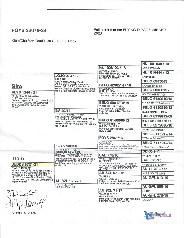 Preview Image 13