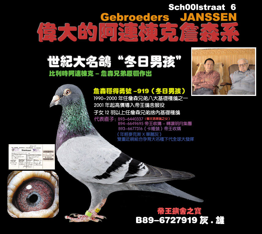 Preview Image 6