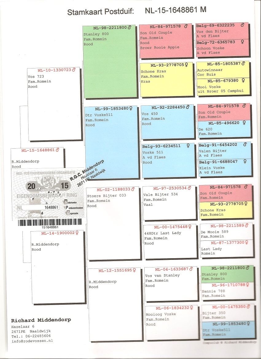 Preview Image 6