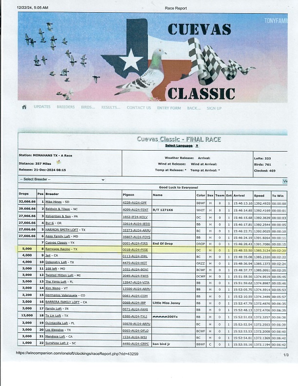 Preview Image 15