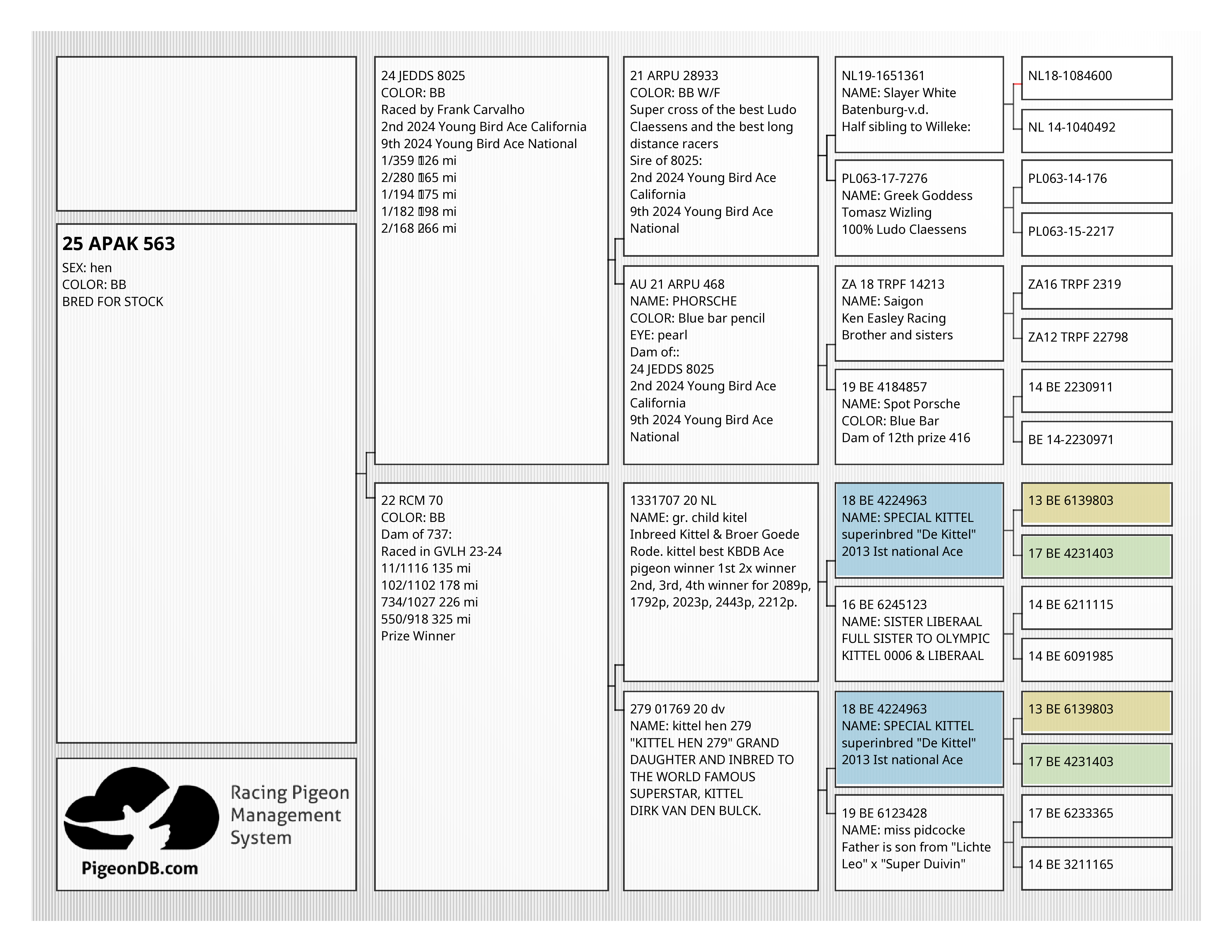 Off  2nd 2024 CA Young Bird Ace 