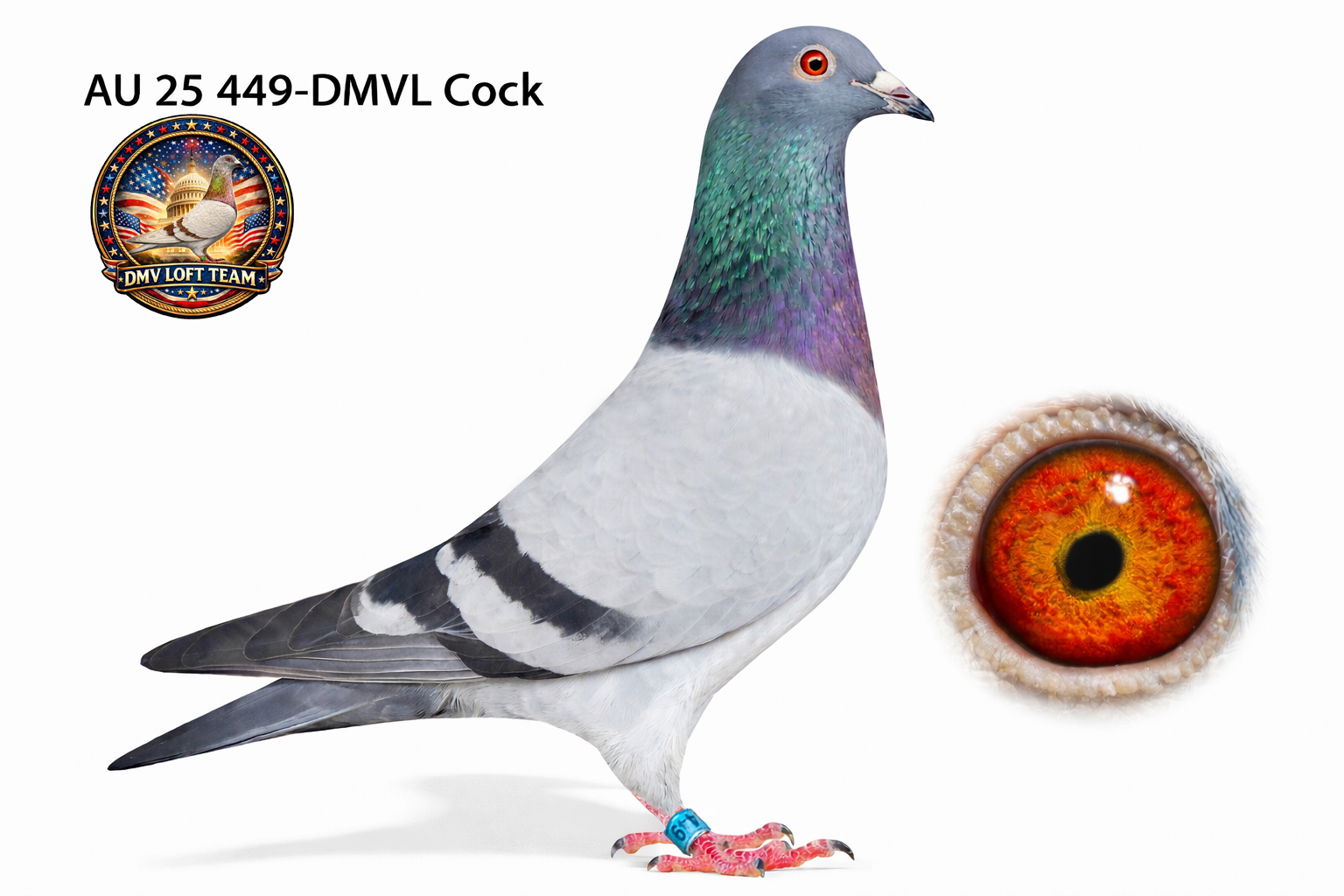 Direct son 9th place FPD 2023!!!