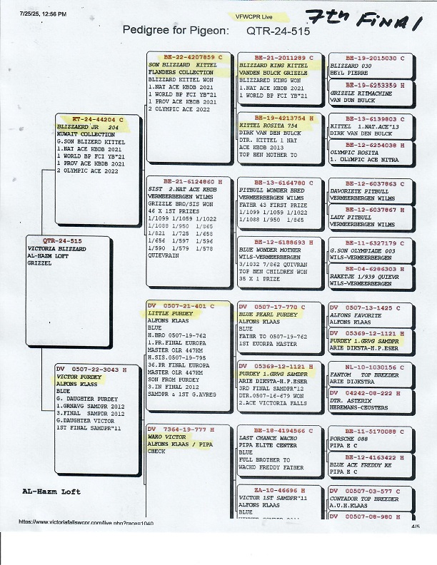 AU 2025 JEDDS "4464"