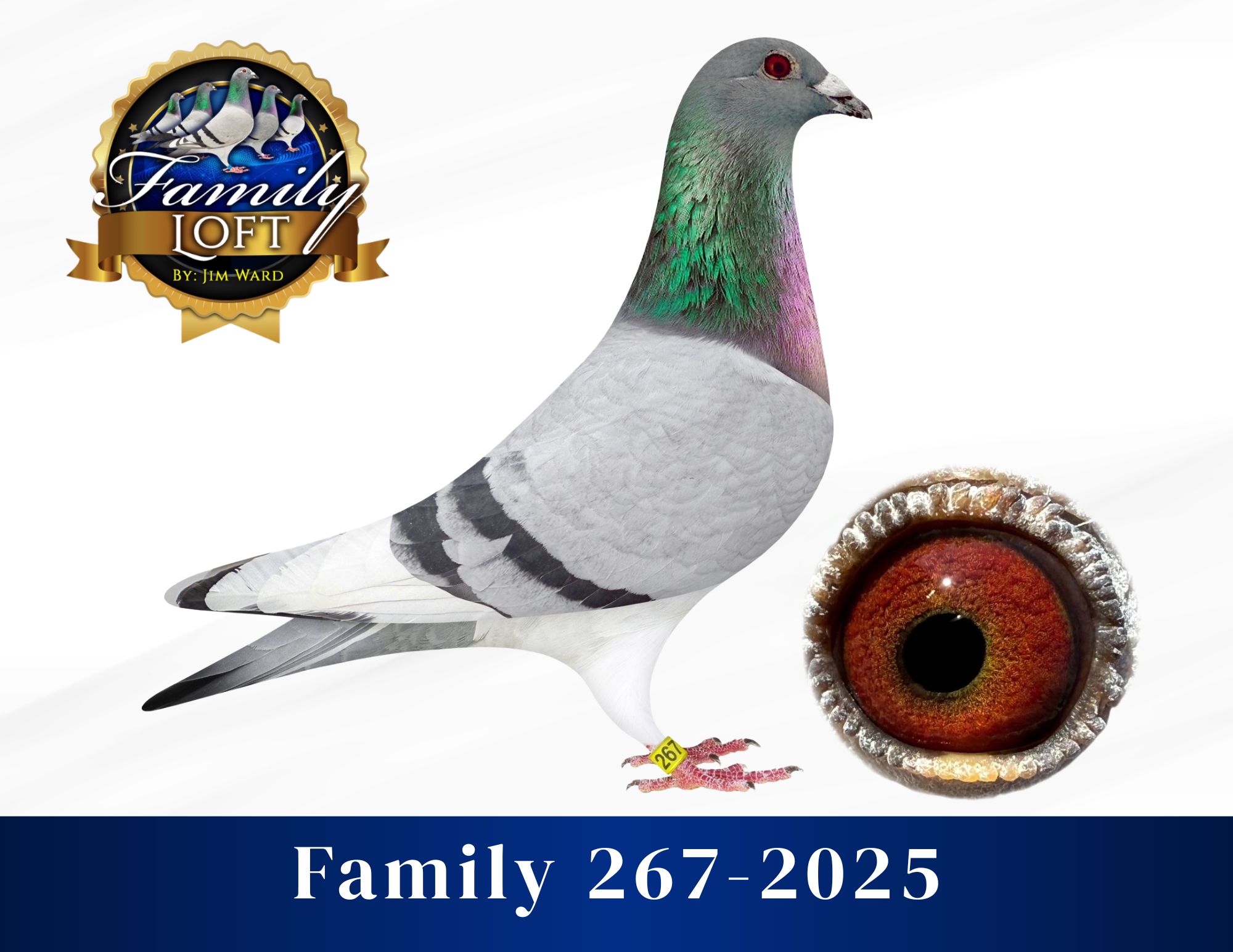 Family 267-2025