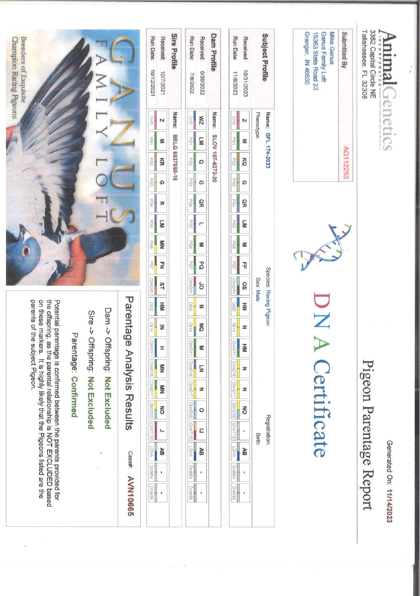 Preview Image 4