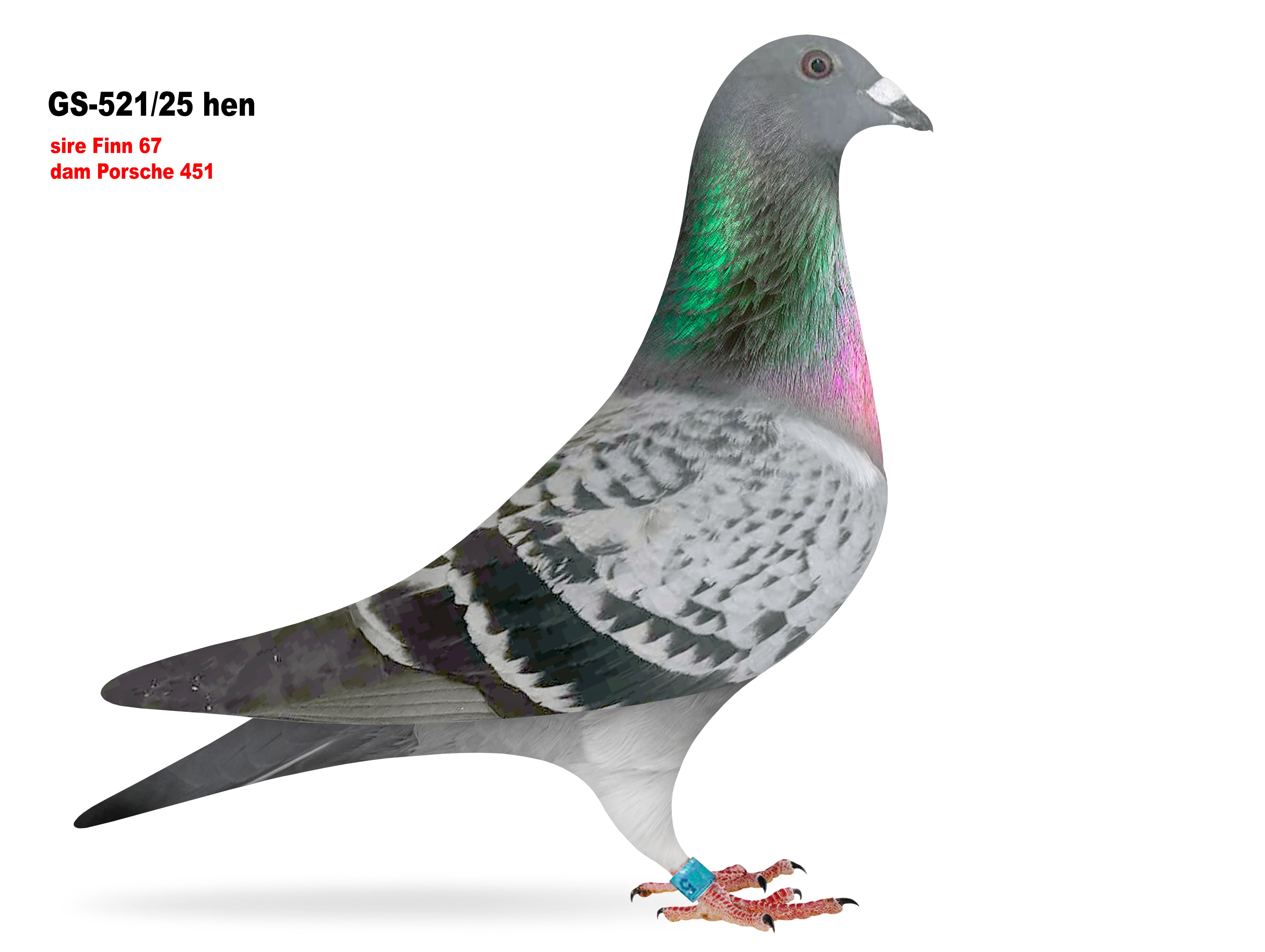 GS-521/25 86th 367miles Crooked River won $