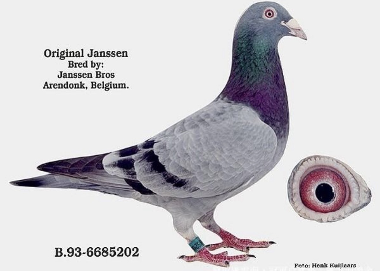 Preview Image 6