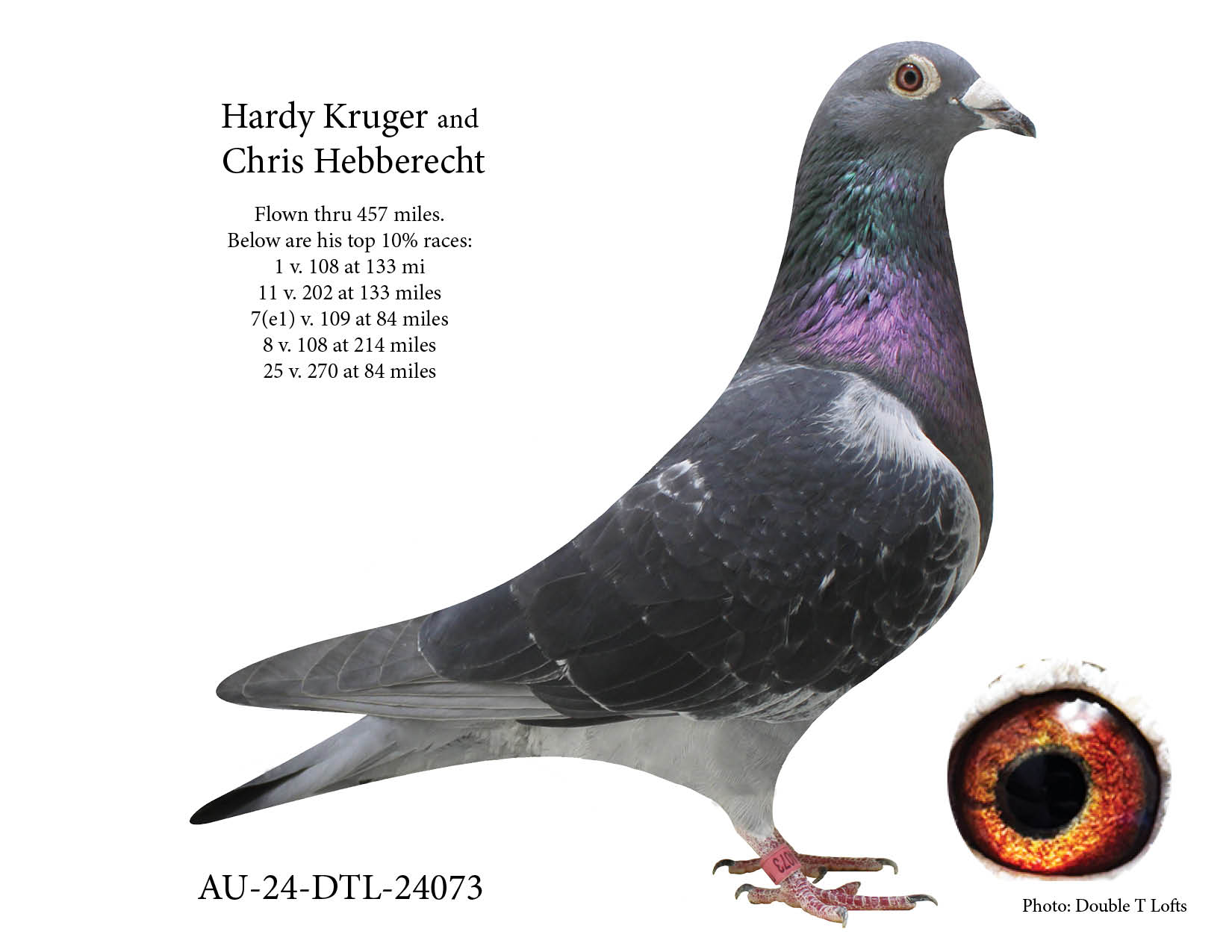 Hardy Kruger & Chris Hebberecht