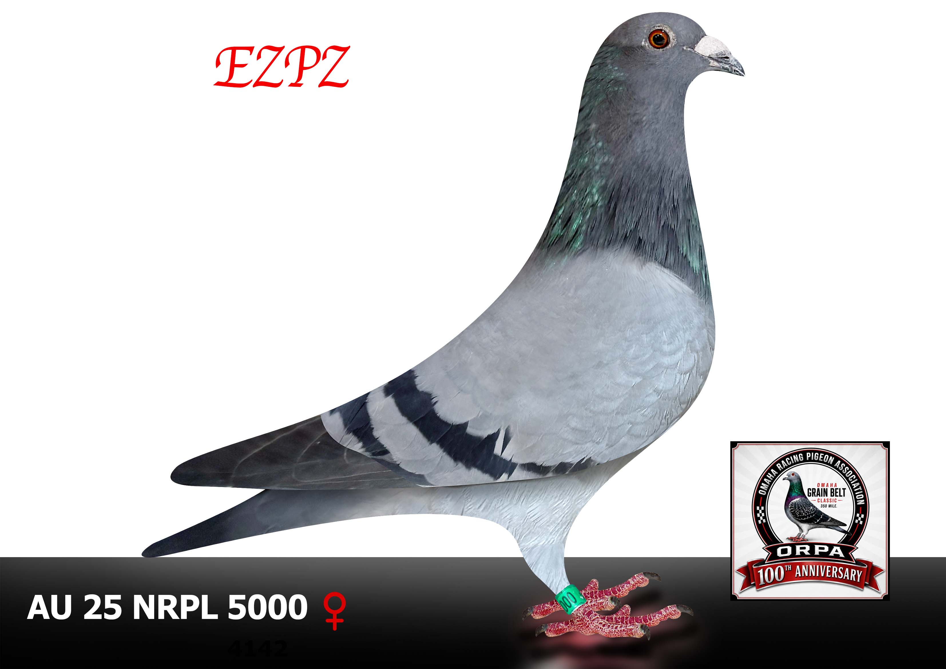 AU 25 NRPL 5000 Hen