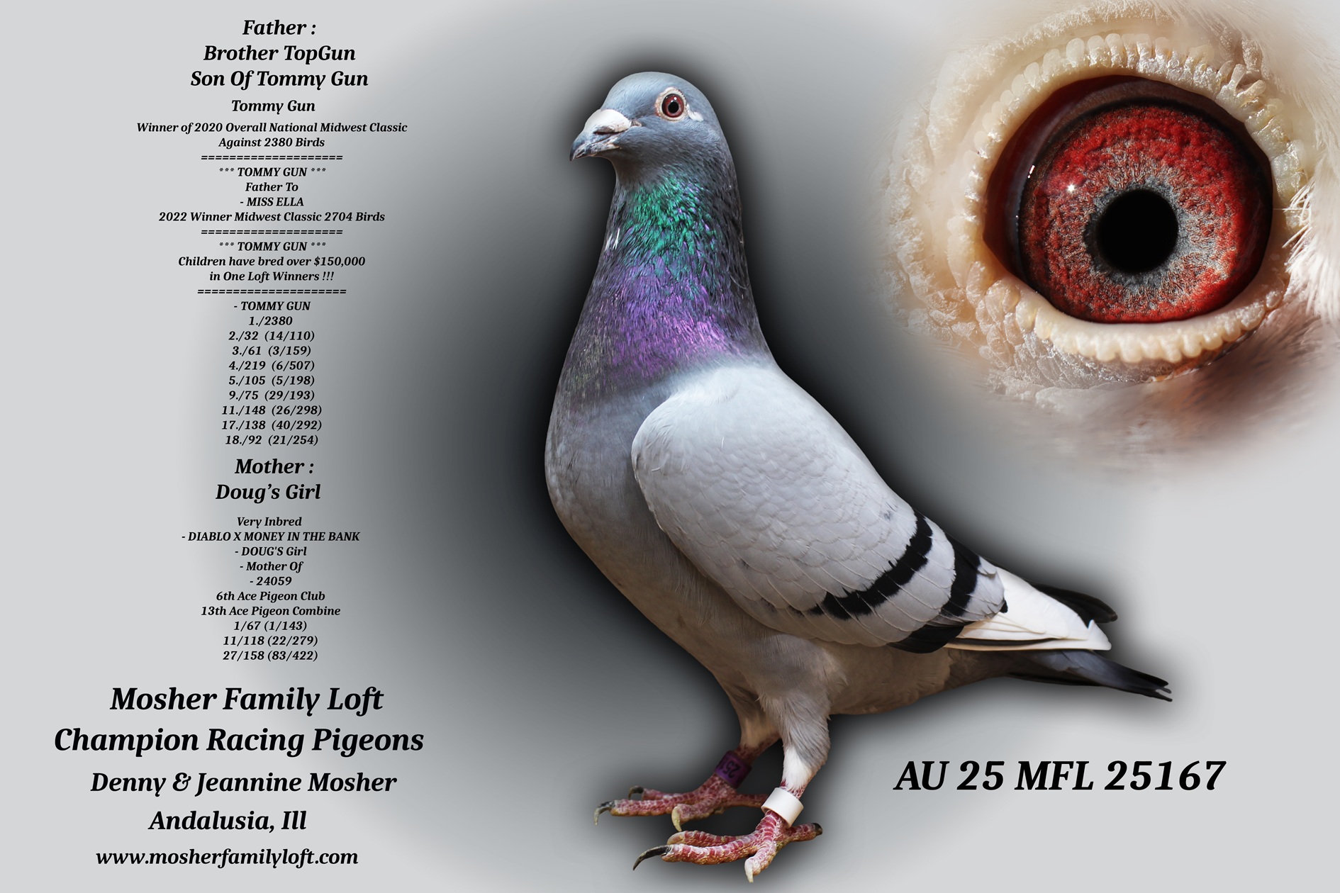 AU 25 MFL 25167 Cock