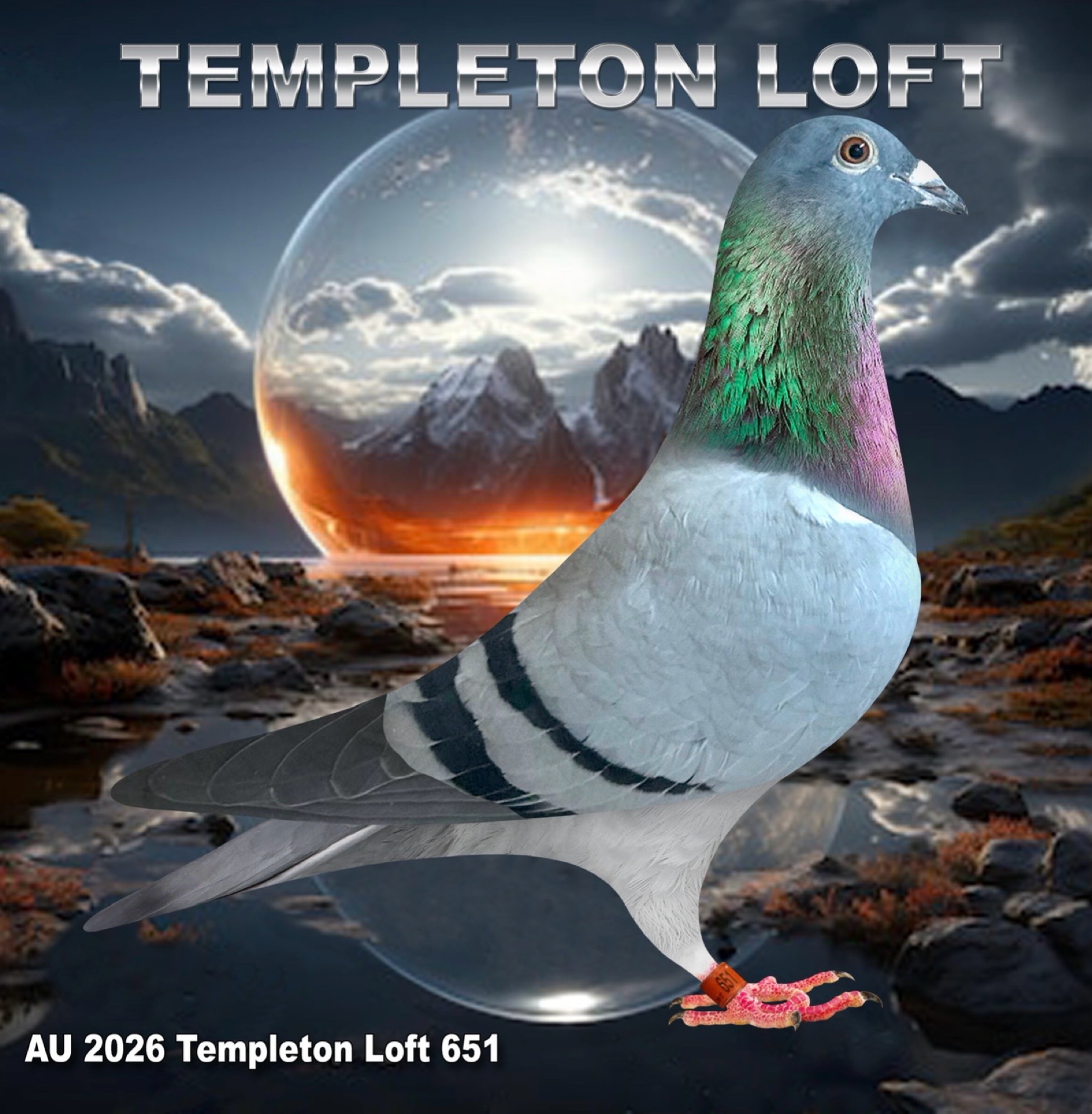 Templeton loft2026/651 Full DNA