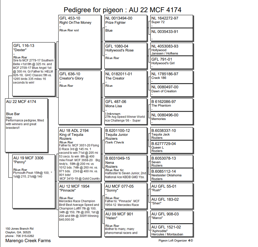 Preview Image 2