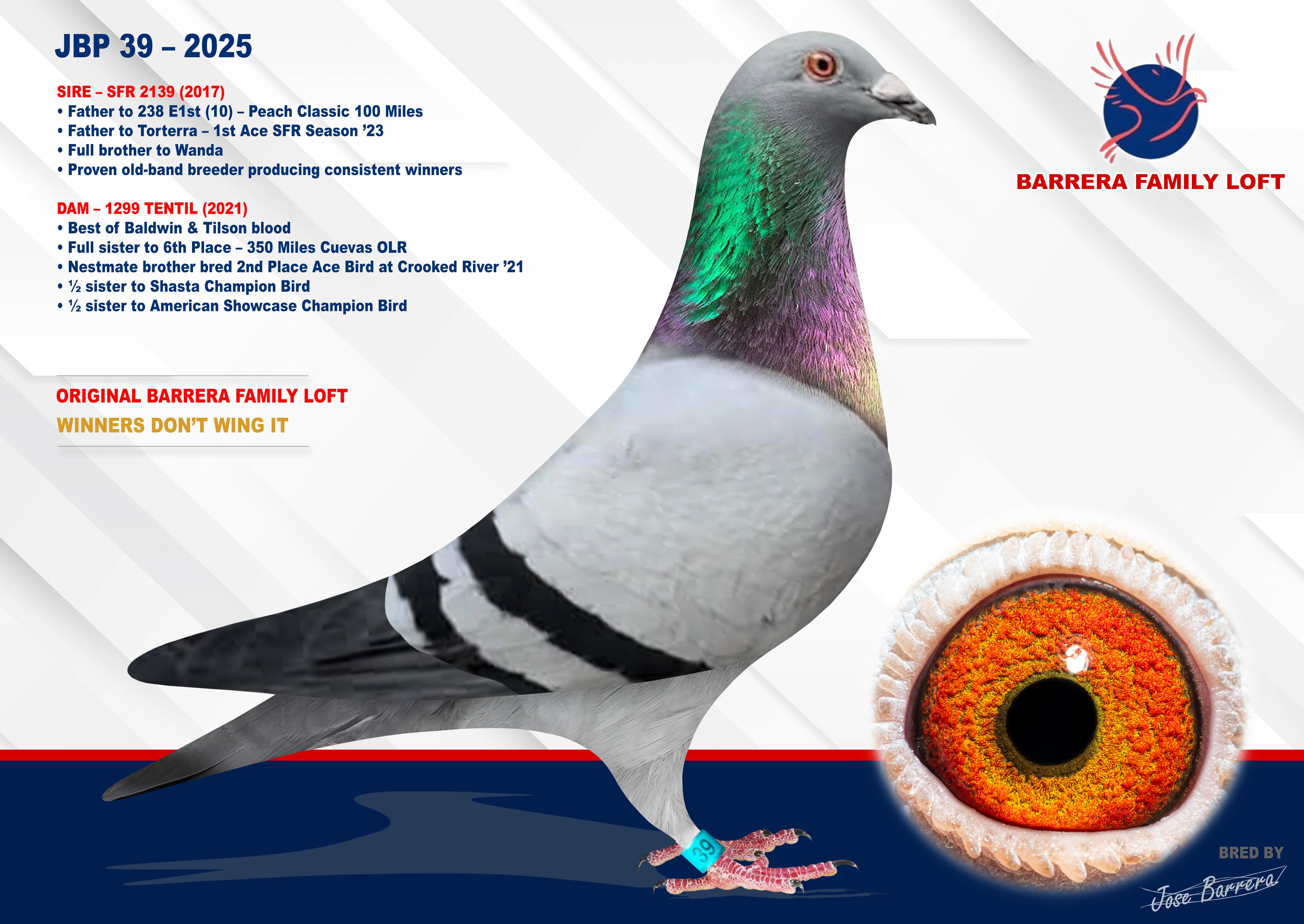 JBP 39 – 2025
SCHAERLAECKENS × BALDWIN & TILSON BLOOD
