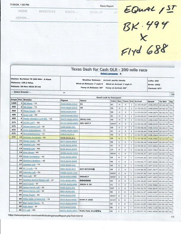 Preview Image 12
