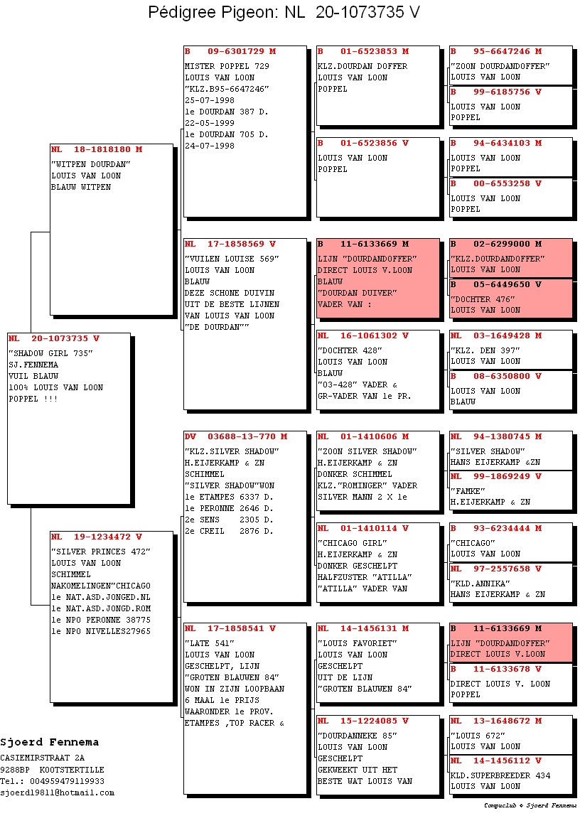Preview Image 3