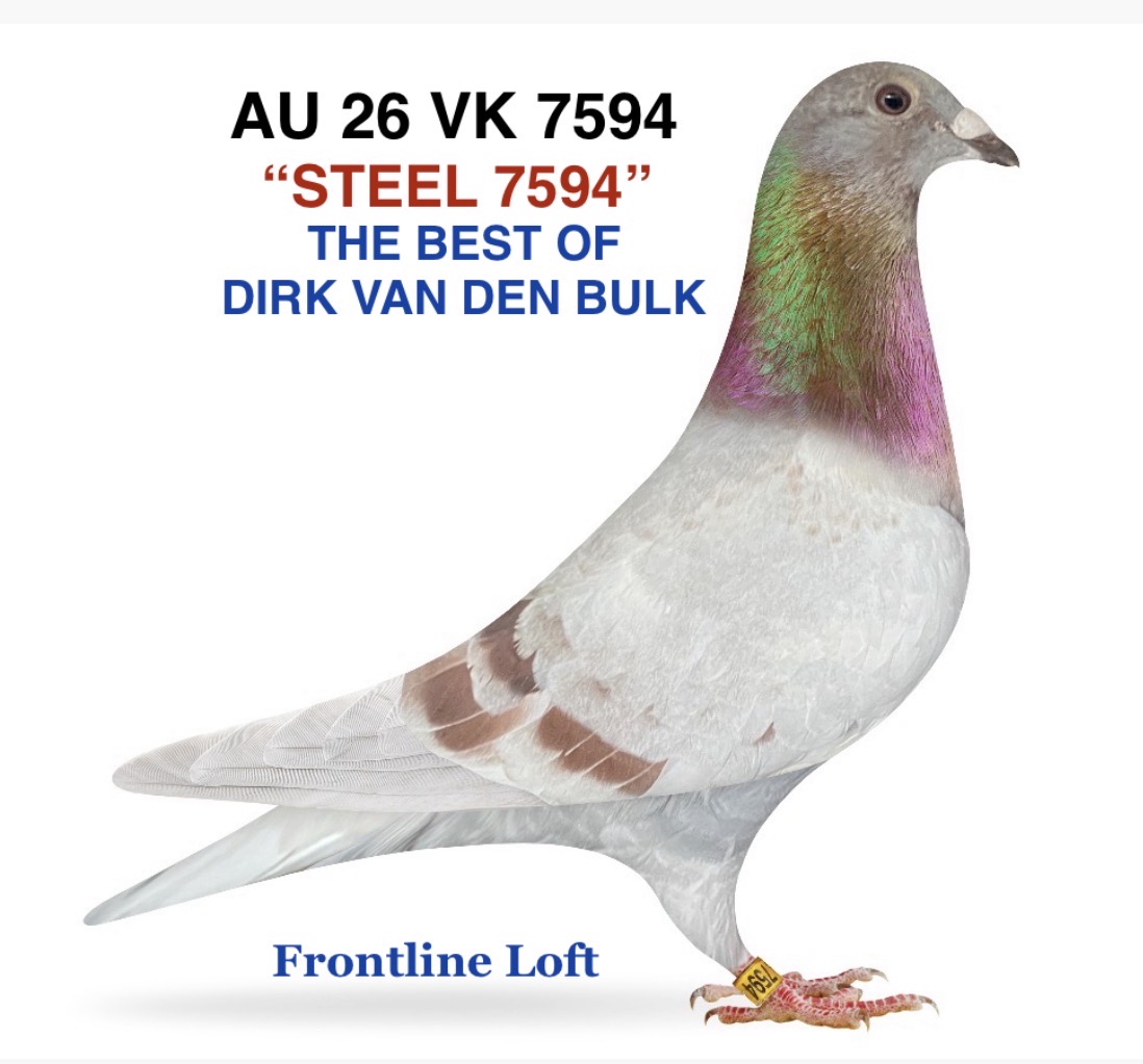 BEST OF DIRK VAN DEN BULK 