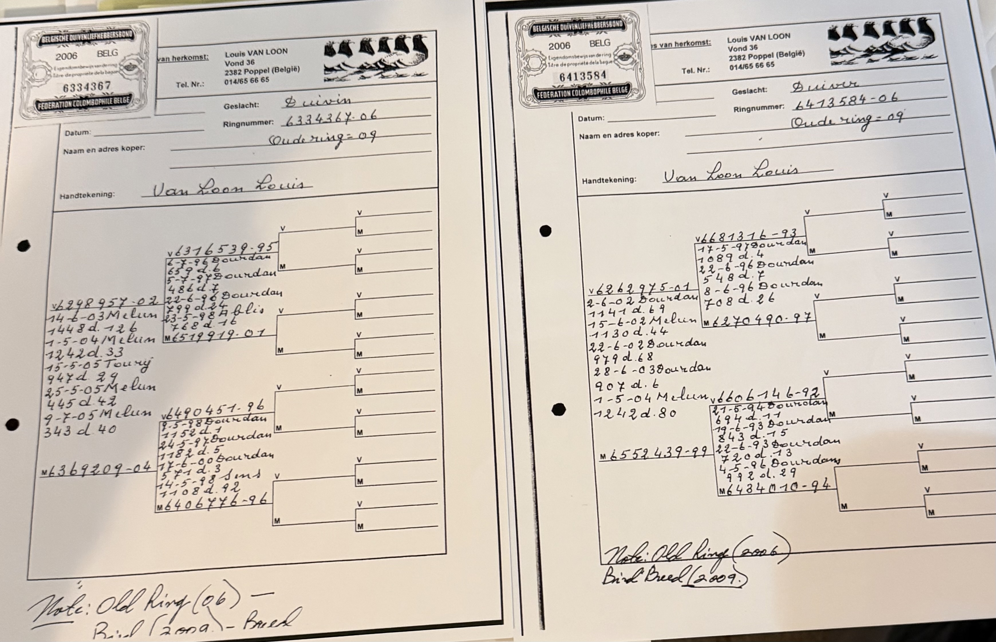 2025 Van loon and Jansen hen