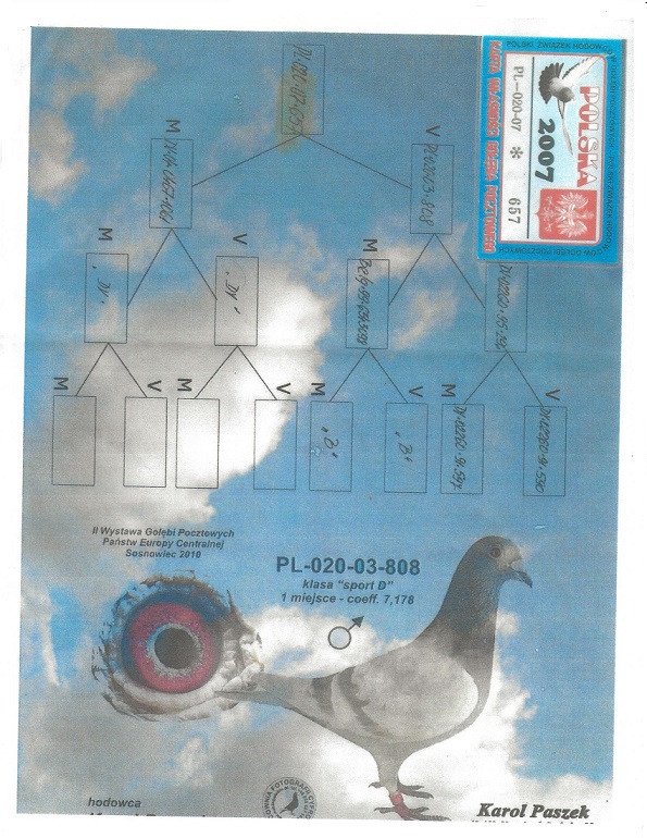 Preview Image 7
