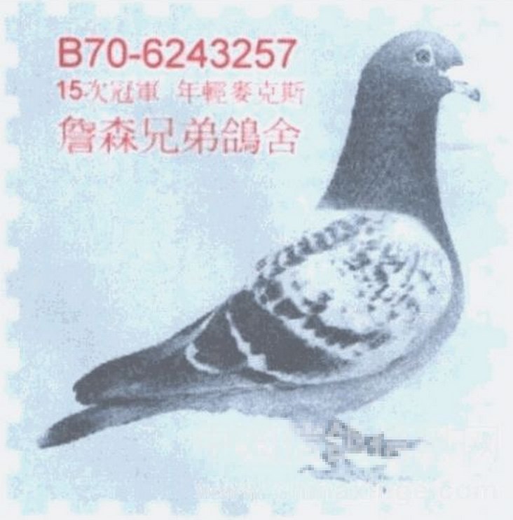 Preview Image 6
