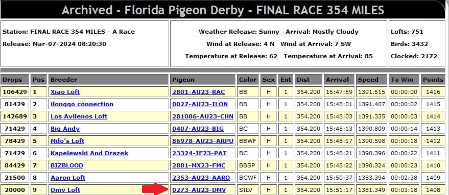 iPigeon.com - Racing Pigeon Auction