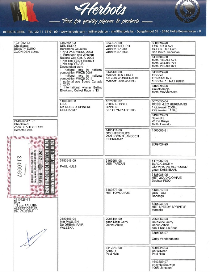 Preview Image 4