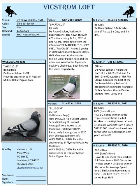 2586 WICK AU 2025 BBSP