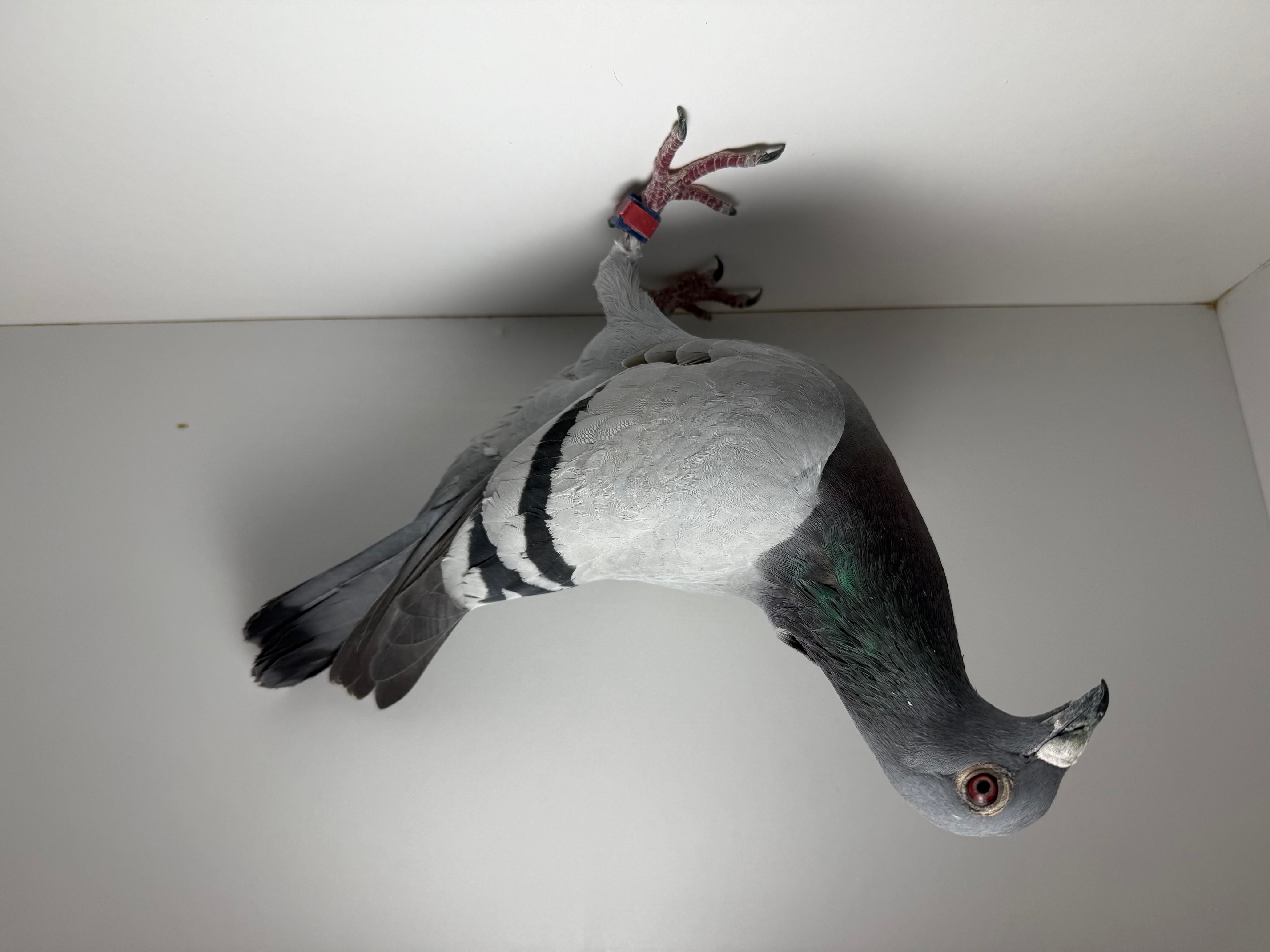 2025 Crooked River Money Winner