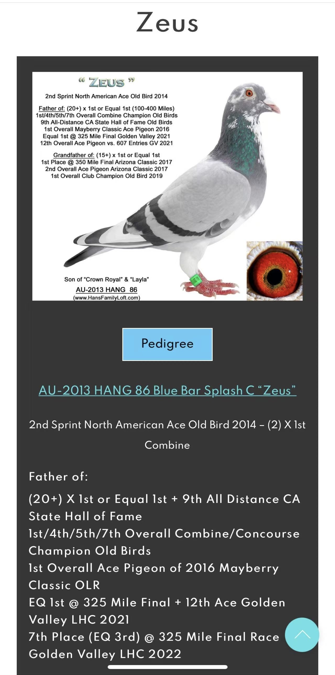 Preview Image 7