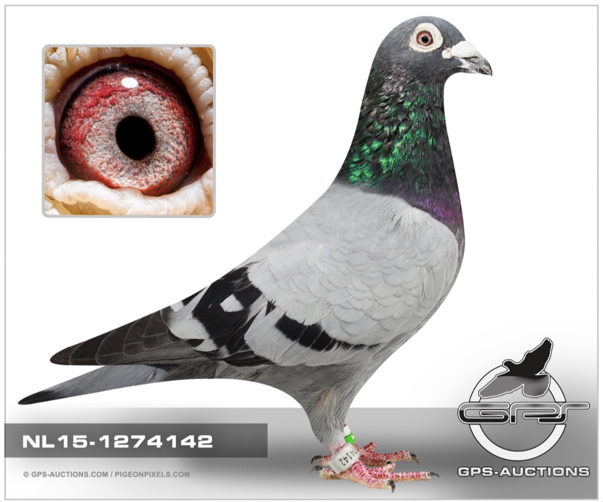 NL 1274142-2015 BBC
