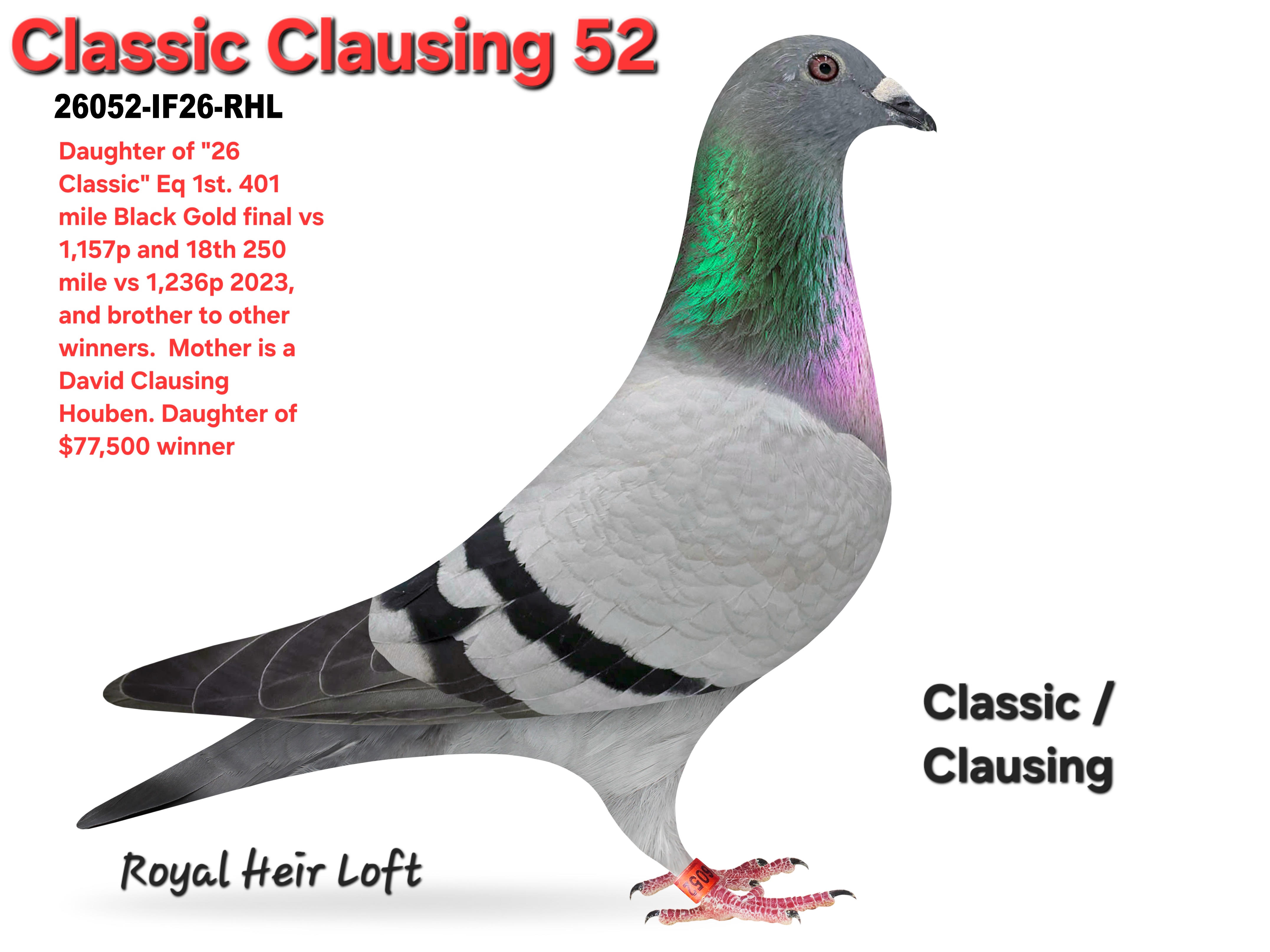 26052-IF26-RHL Blue Hen