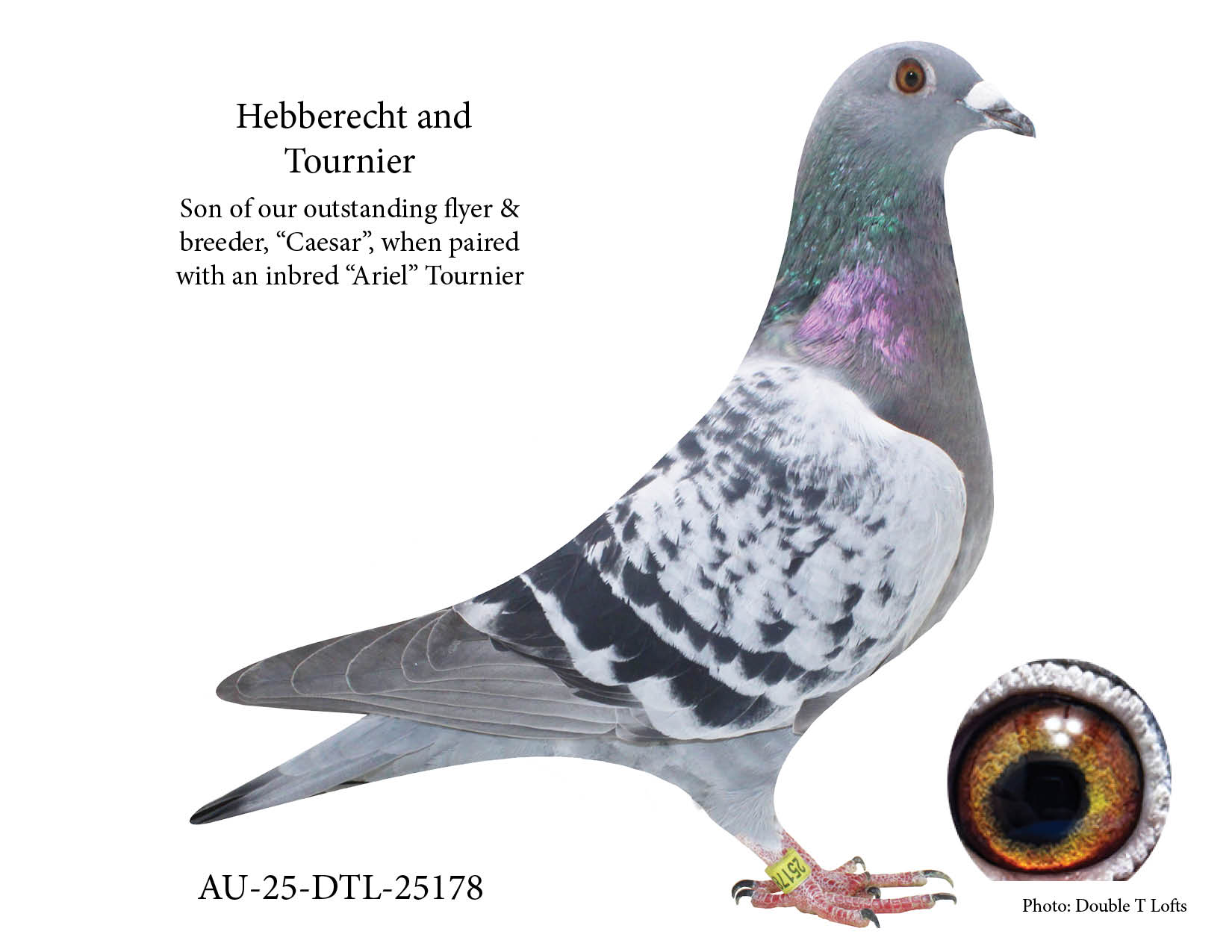 Not Known by many...but outstanding