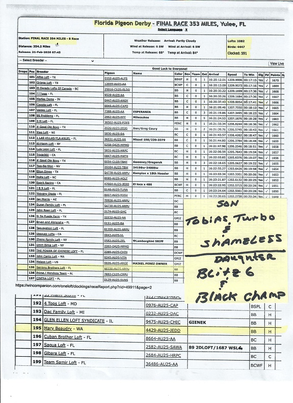 Preview Image 11